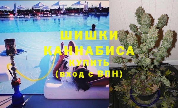 стафф Надым