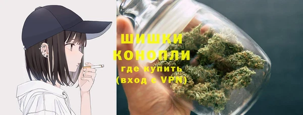 стафф Надым