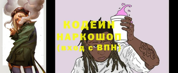 соль ск Аша