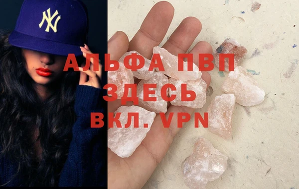 стафф Надым