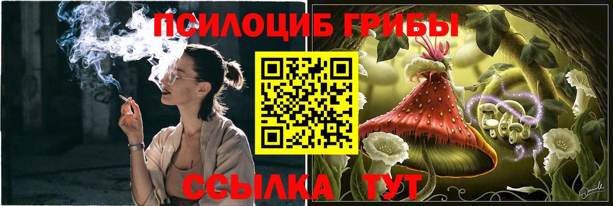 Кириши  Псилоцибиновые грибы мухоморы  Галлюциногенные грибы мицелий  Вход с VPN 