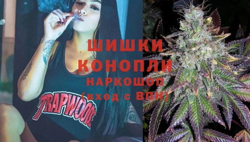 купить   Кириши  Бошки марихуана OG Kush 